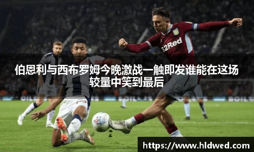 中欧体育