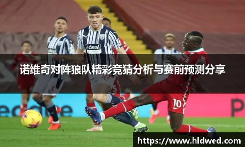 伟德bv国际体育